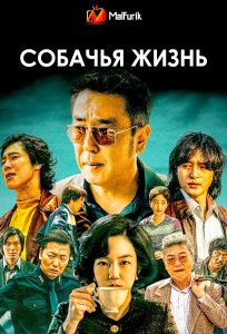 Собачья жизнь